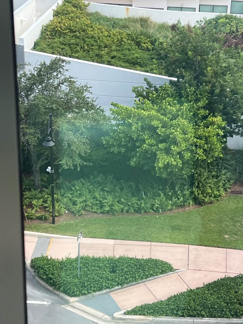 walking near me in Doral Cultural Arts Center in summer