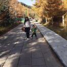 我又不是兔子🐰ঞꕥ᭄ꦿ