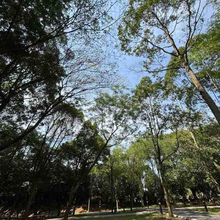 CHINA X INDIA HR Teams Kher Juin post image