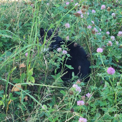 In walk we trust Maryia Makarava post image