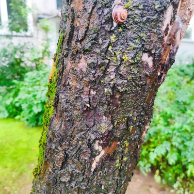 In walk we trust Nastassia Zh post image