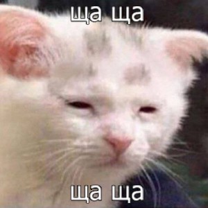 Дарья Дятленко profile