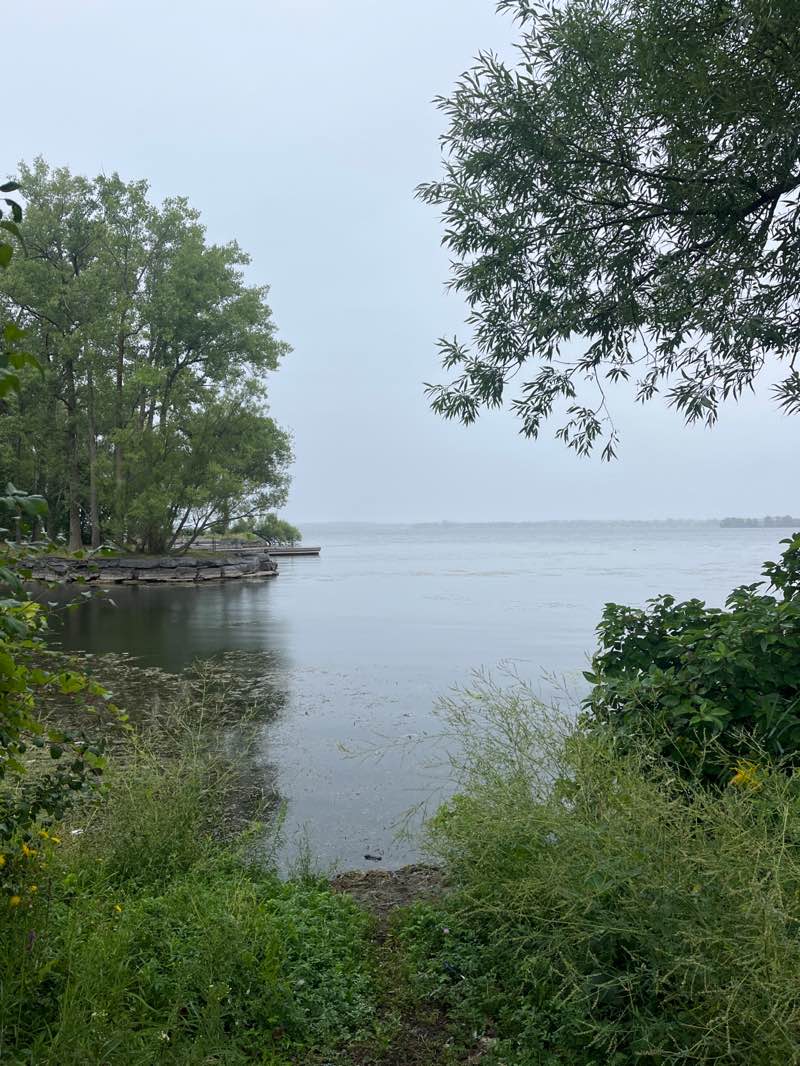 walking near me in Jane Forester Park in autumn