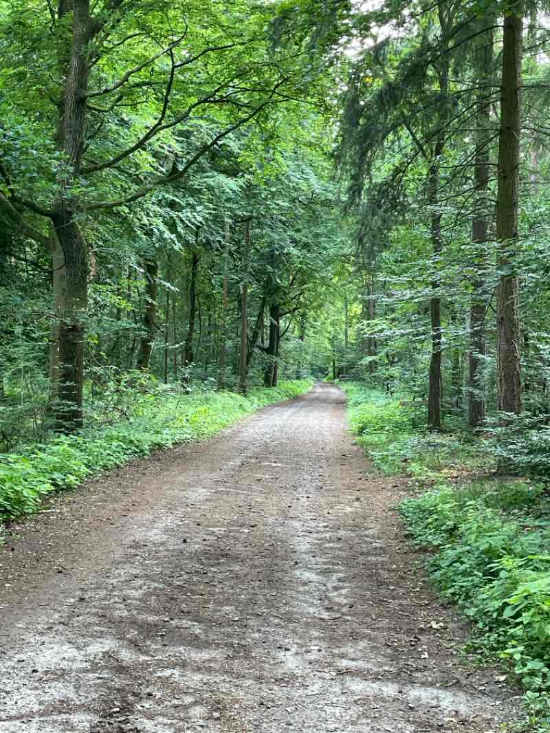 walking near me in Kurpark in summer
