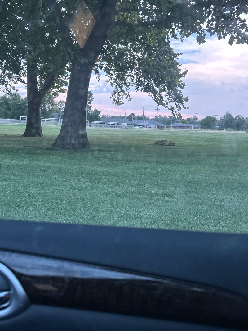 walking near me in Vic Goering Park in summer