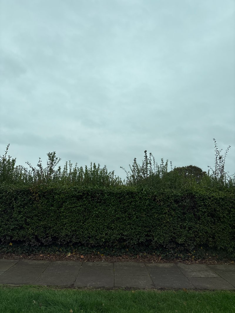 walking near me in Irby Park in autumn