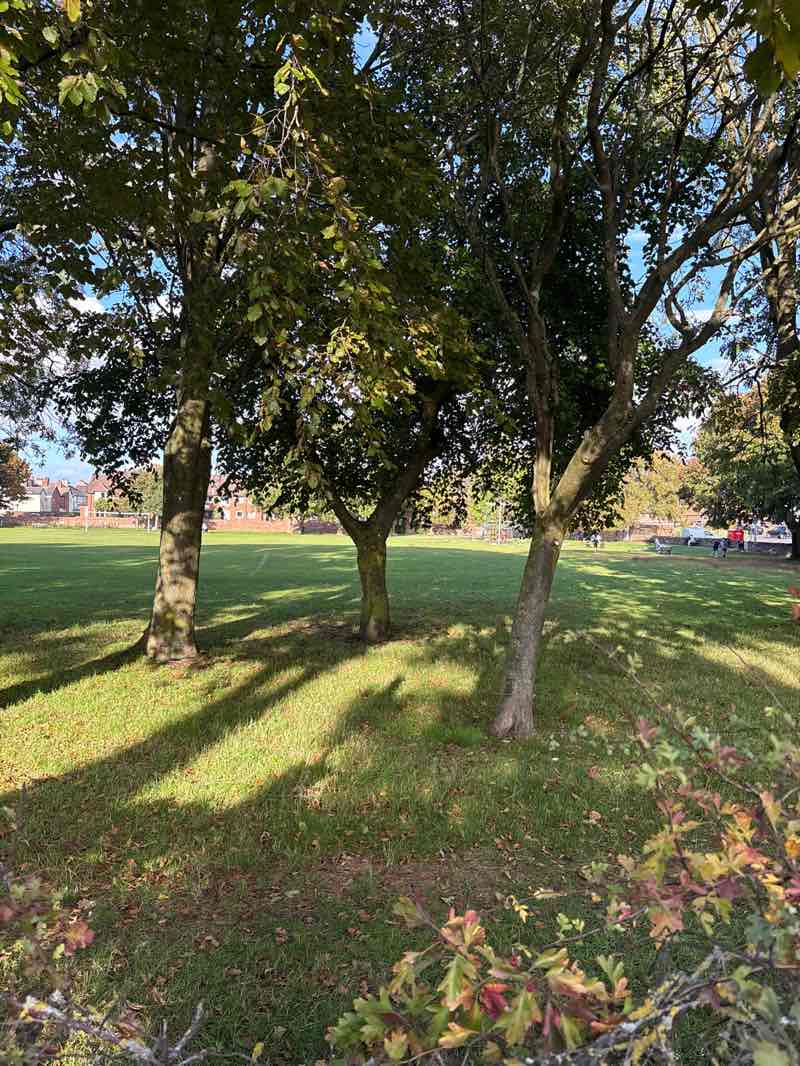 walking near me in The Puddydale in autumn