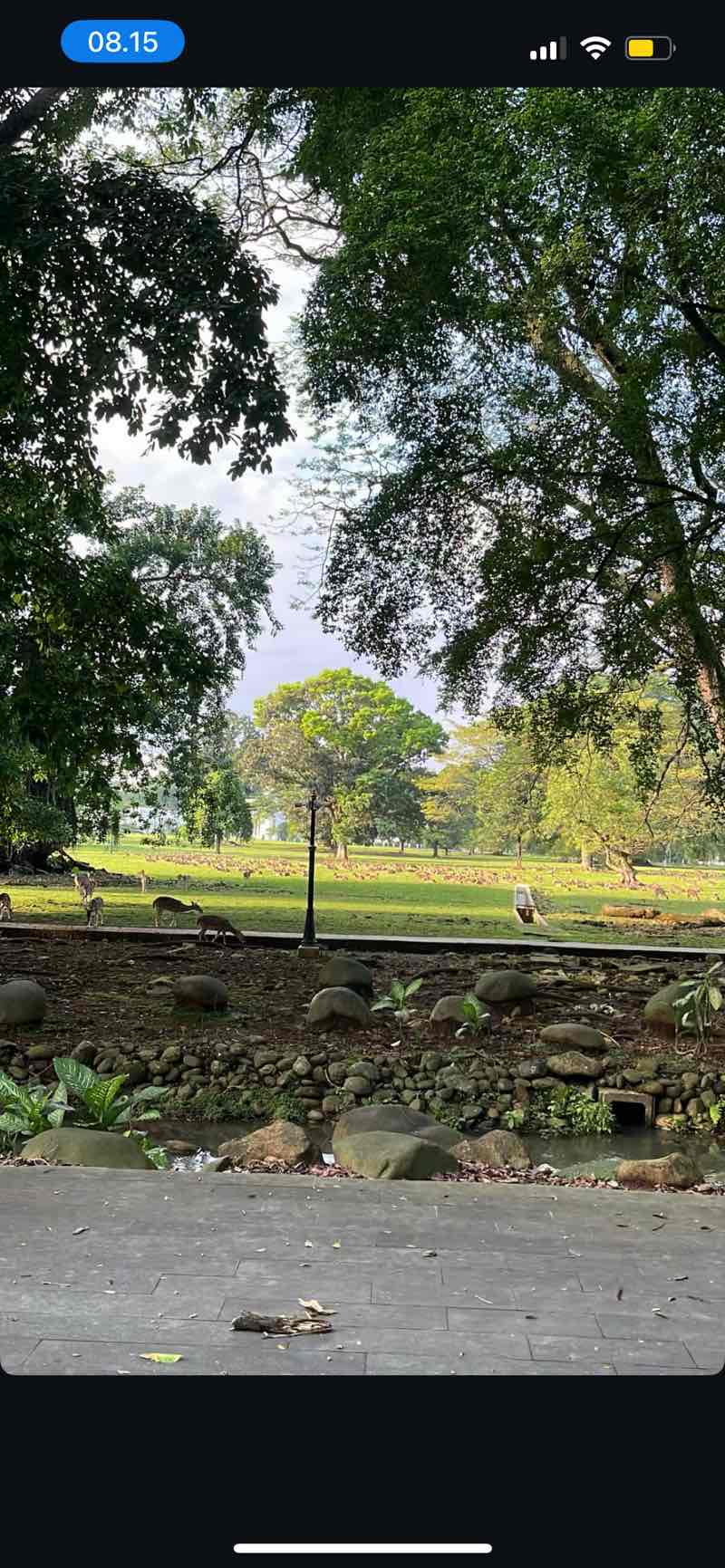 walking near me in Bogor Botanical Gardens in winter