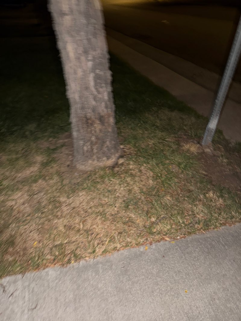 walking near me in Great Lawn Park in autumn