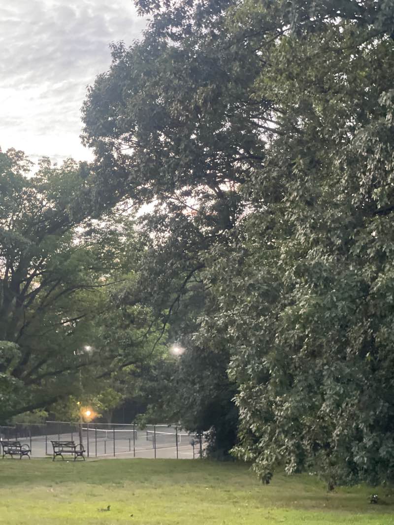 walking near me in Cain Park in autumn