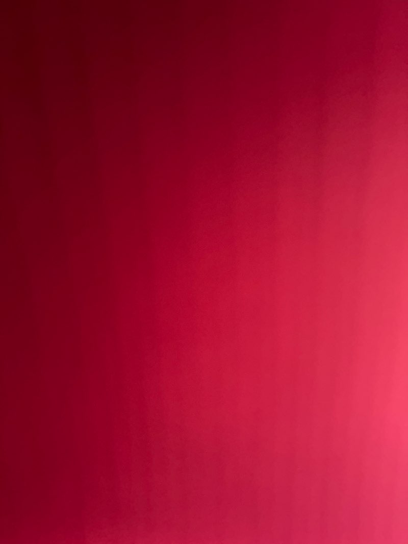 walking near me in Argyle-Williamson Park in autumn