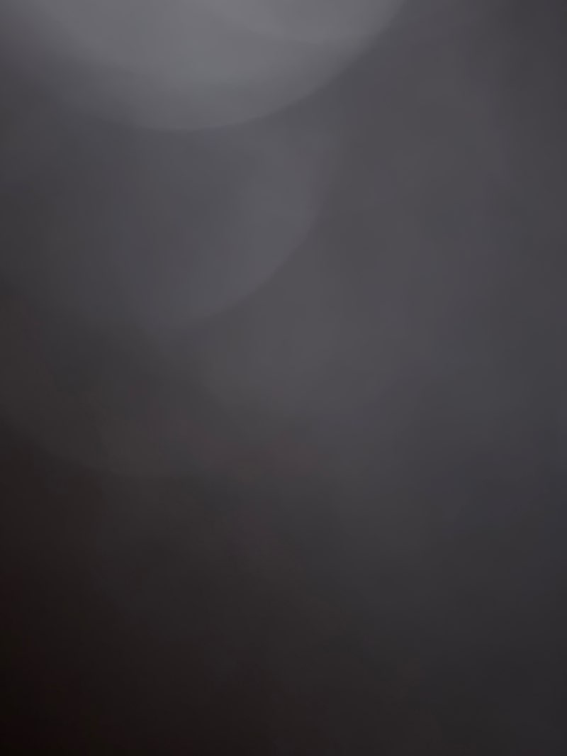 walking near me in City Hall Park in autumn