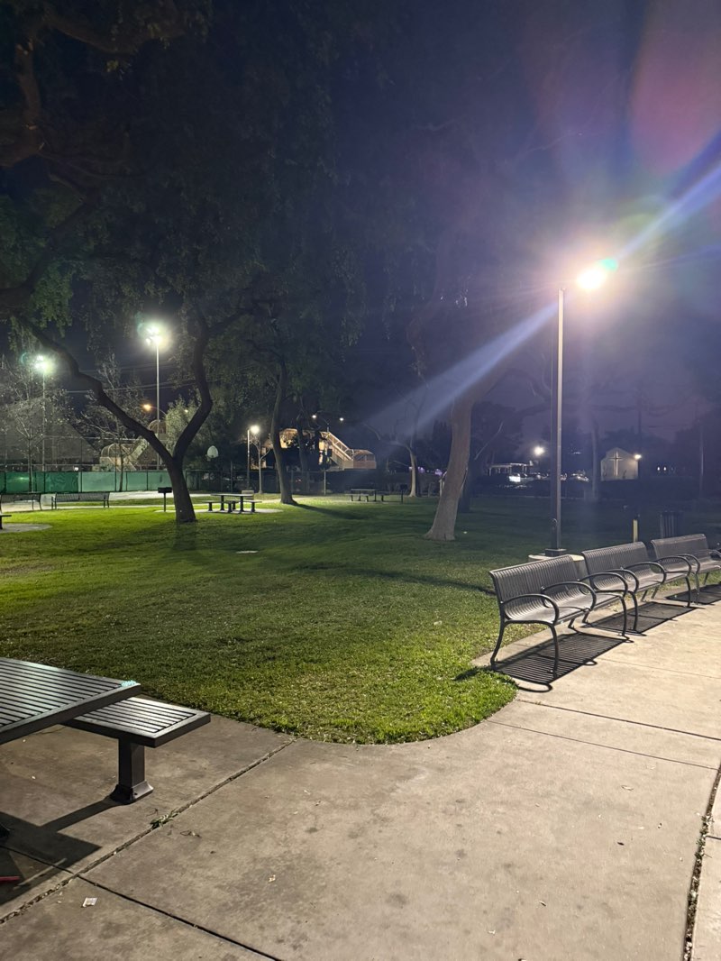 walking near me in Lemon Park in winter