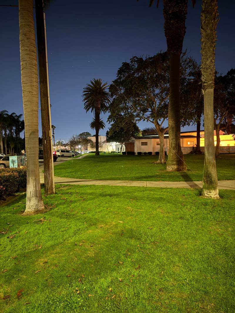 walking near me in Triangle Park in winter