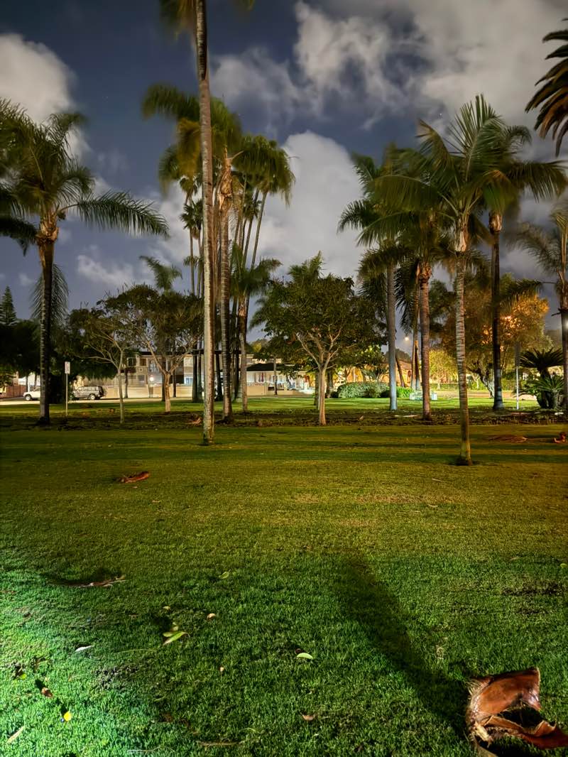 walking near me in Lake Park in winter