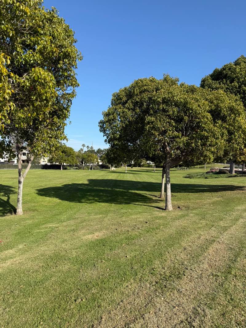 walking near me in Discovery Well Park in winter