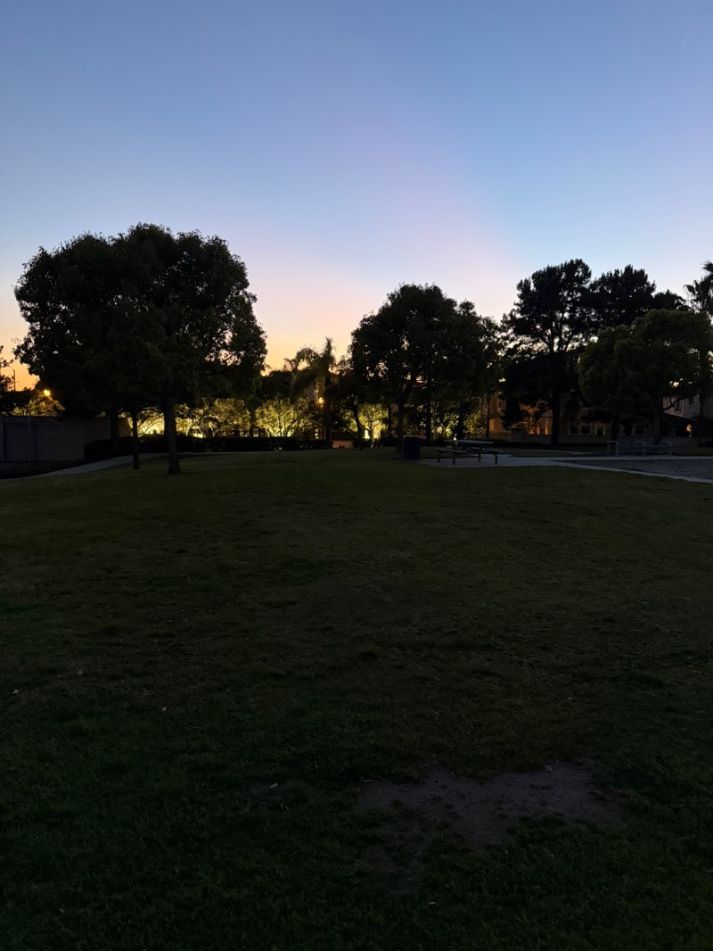walking near me in Peter Green Park in winter