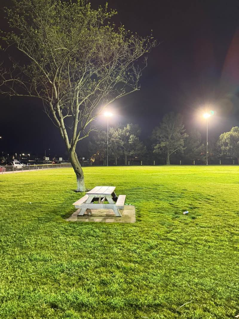 walking near me in Worthy Park in spring