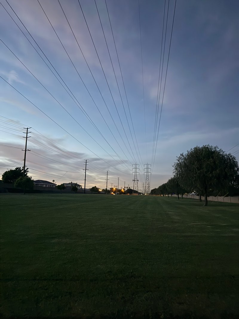 walking near me in Fulton Park in spring