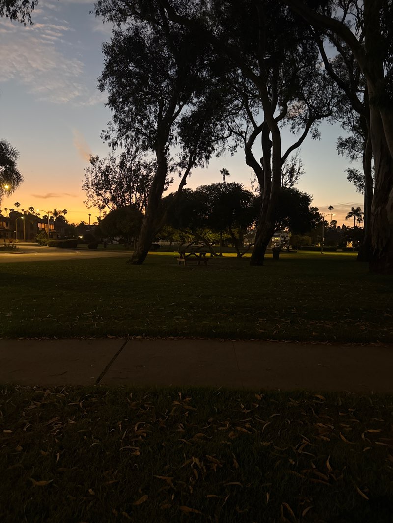 walking near me in Farquhar Park in summer