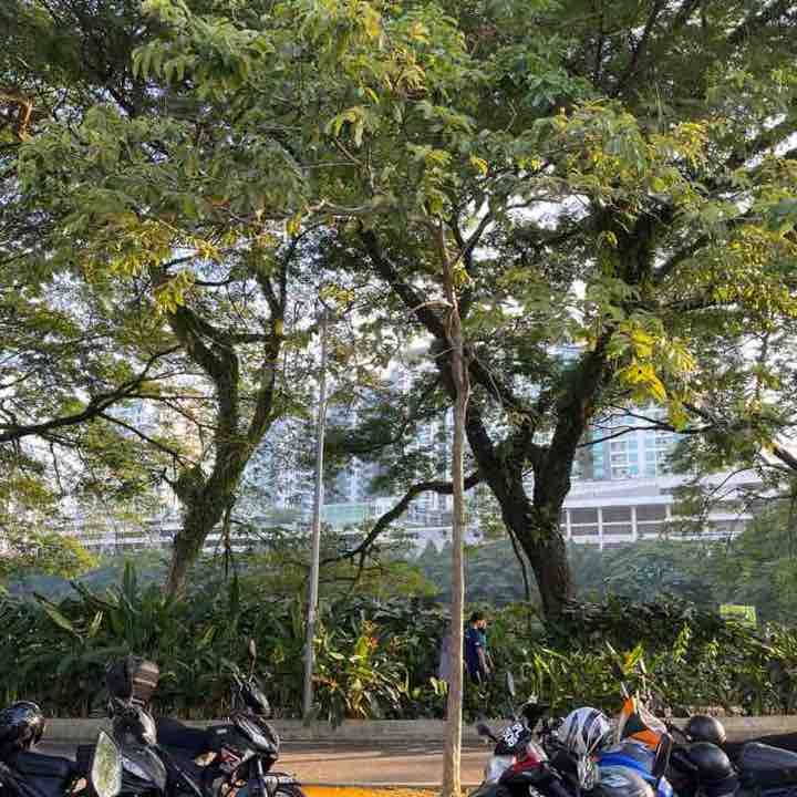 HISHAMUDDIN BIN SULAIMAN post 1