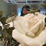 nurul profile