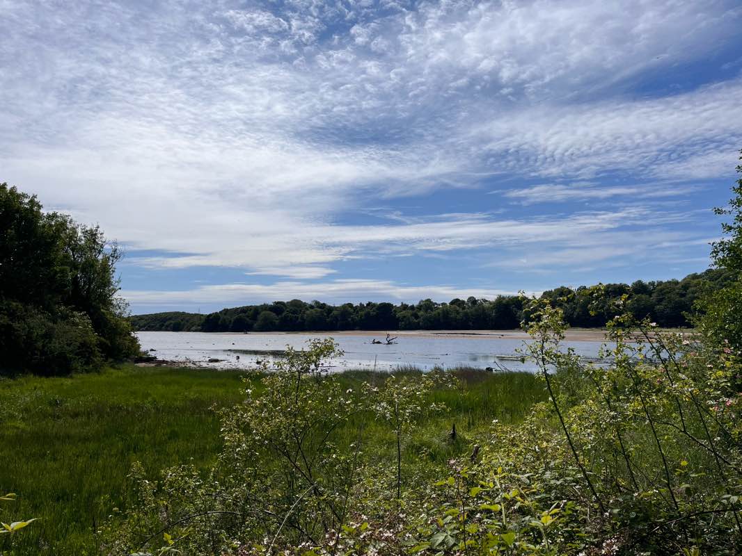 walking near me in Wansbeck Riverside Park - North Seaton Colliery in summer