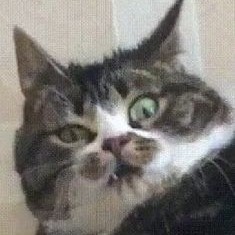 Милфа в теле подростка profile