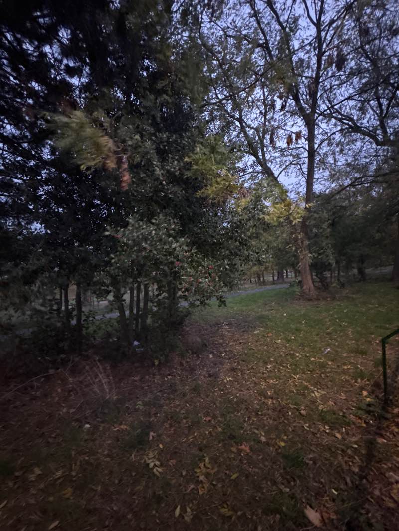 walking near me in Spinney Hill Park in autumn