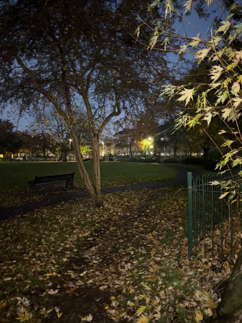 walking near me in Bushy Park in autumn