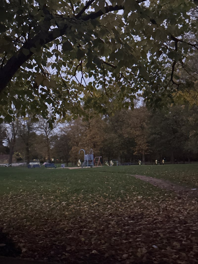 walking near me in Rally Bank Nature Reserve in autumn
