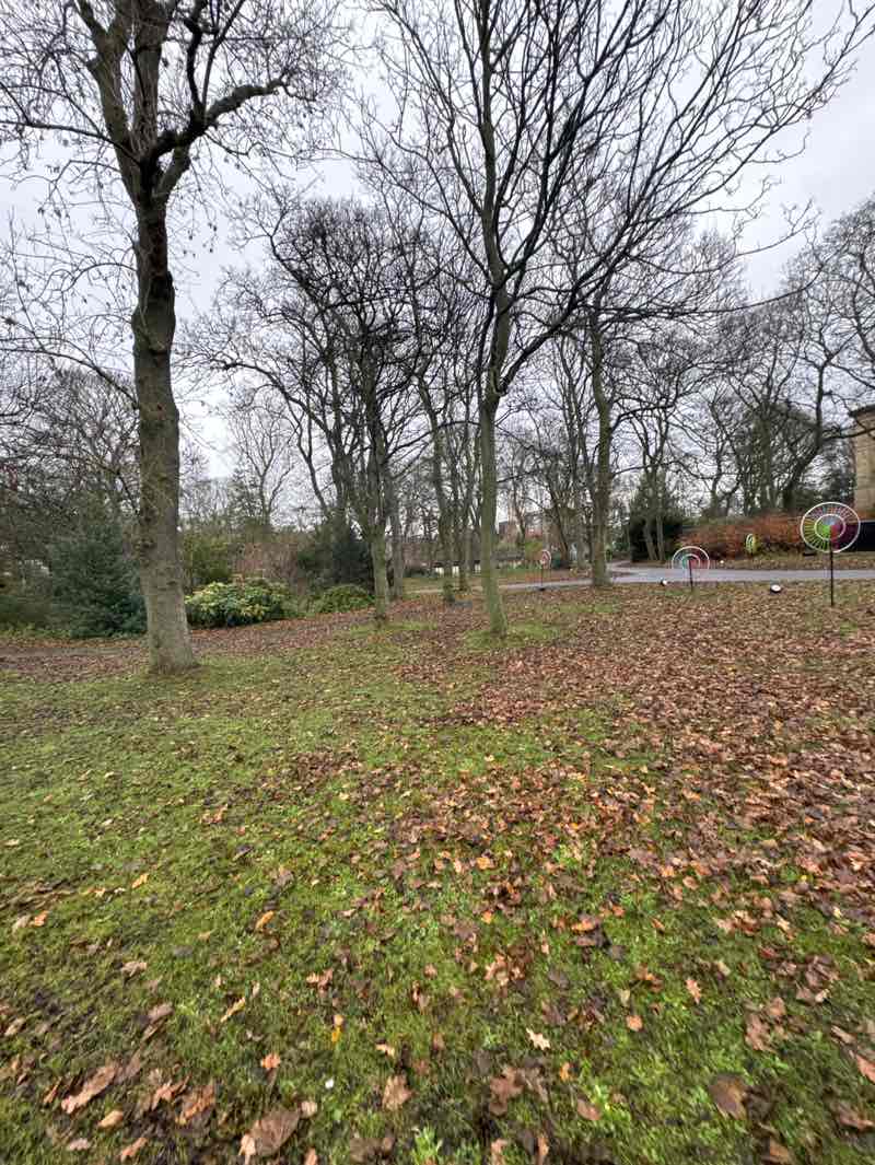 walking near me in Leazes Park in winter