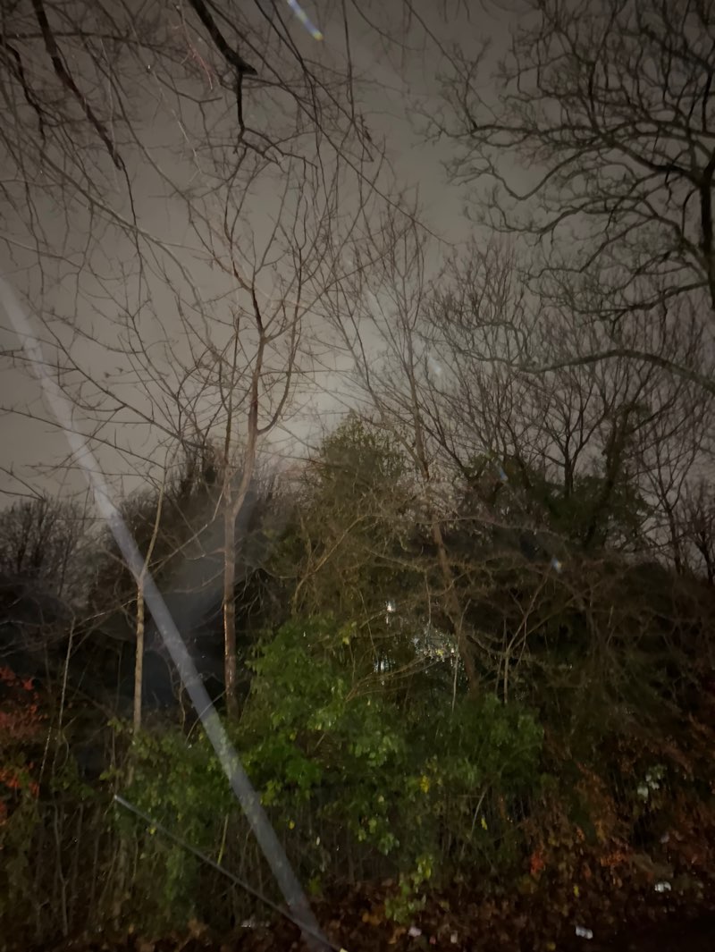 walking near me in Stokeswood Park in winter