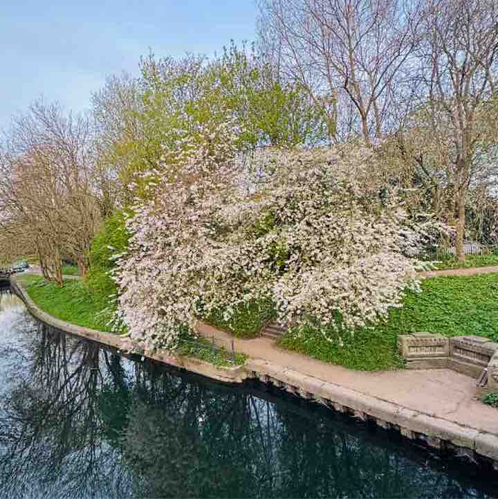 Walkhaholics ellaley post image