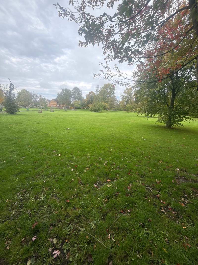 walking near me in Brookdale Park in autumn
