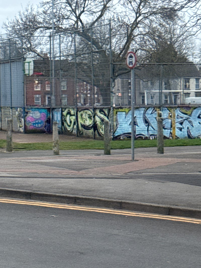 walking near me in Peel Street Park in spring