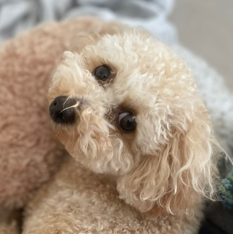 中村尚紀_土浦 icon