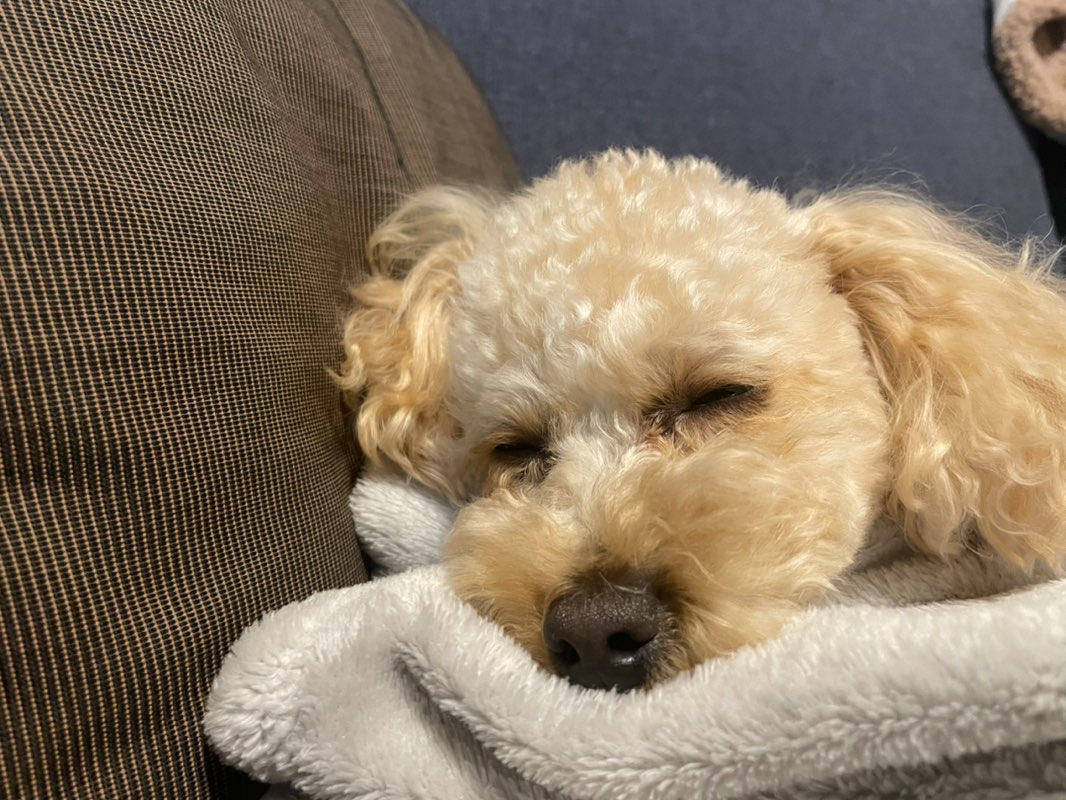 中村尚紀_土浦 icon