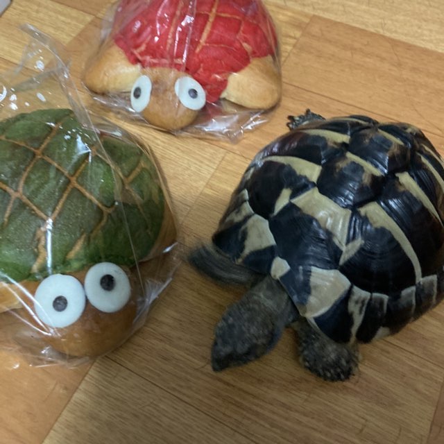 WCS-方儷瑾 profile