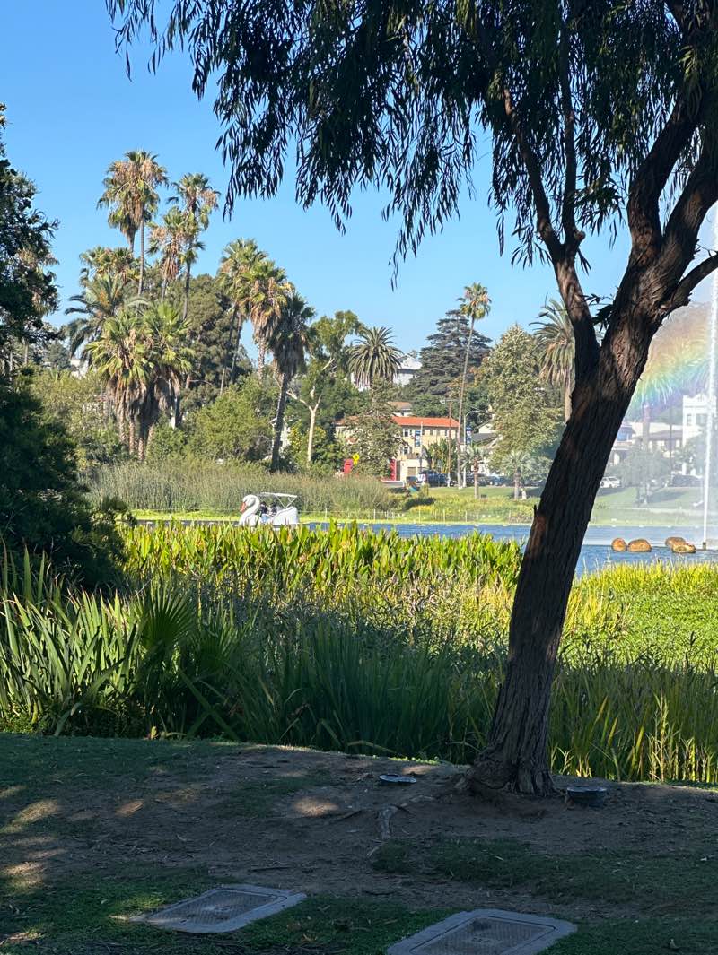 walking near me in Echo Park in autumn
