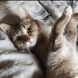 Евгения П. profile