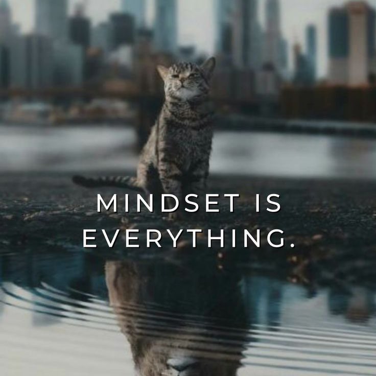 ✨QUEEN PALUTA✨ post 1