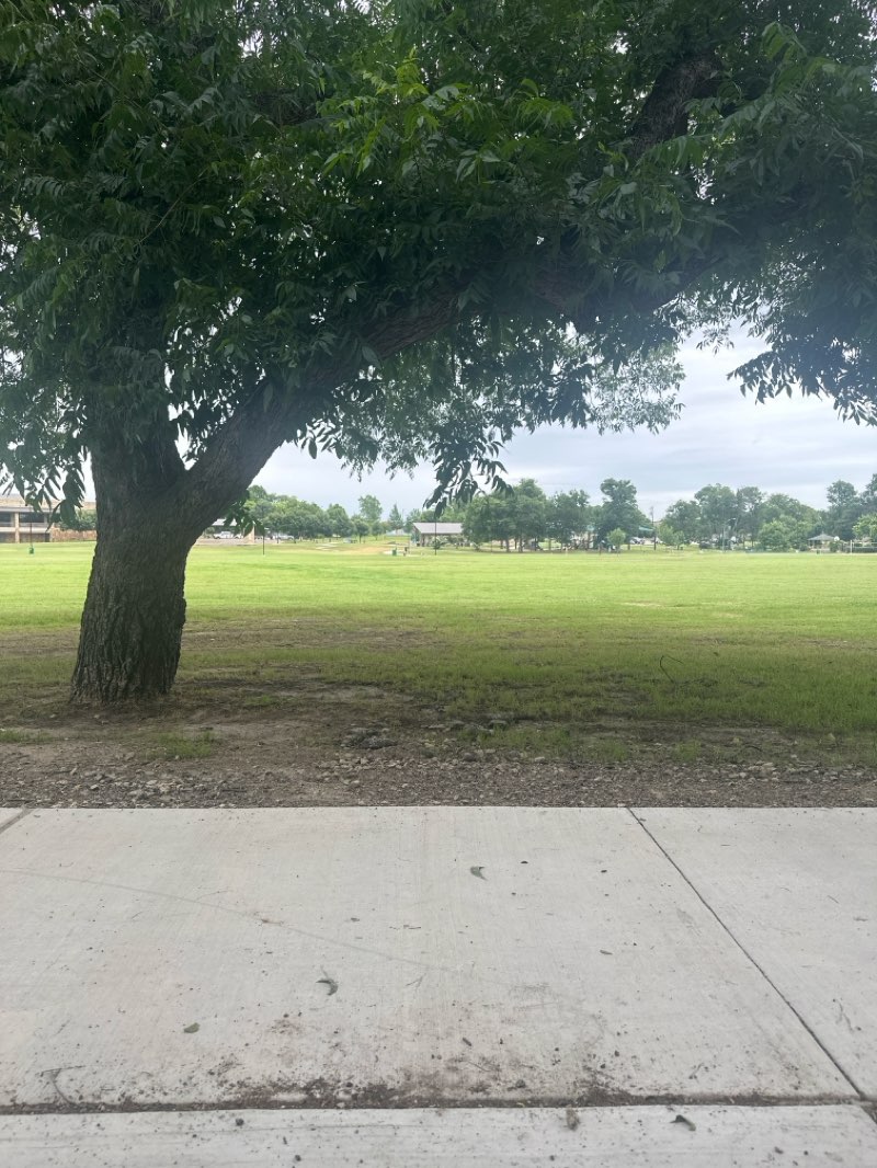 walking near me in Central Park in summer