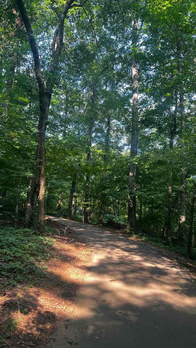 walking near me in Founder's Park at Campbell Station in summer