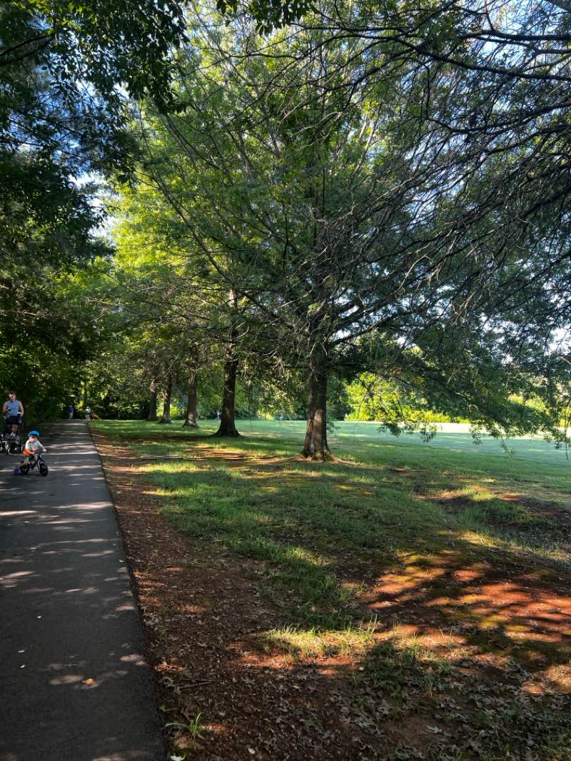 walking near me in Lakeshore Park in summer