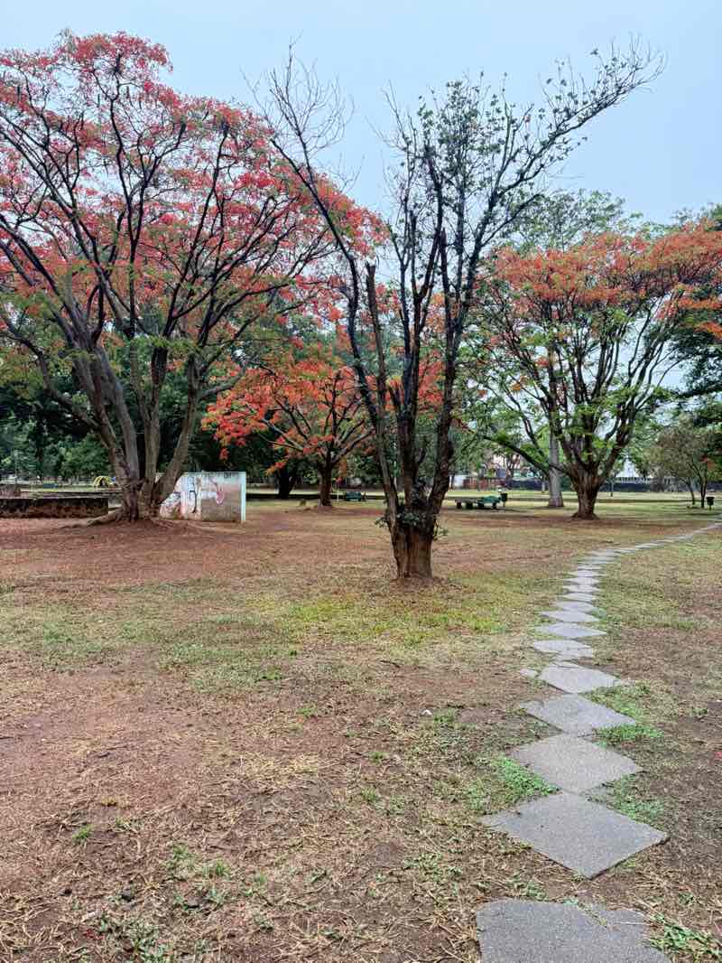walking near me in Greenwood Park in spring