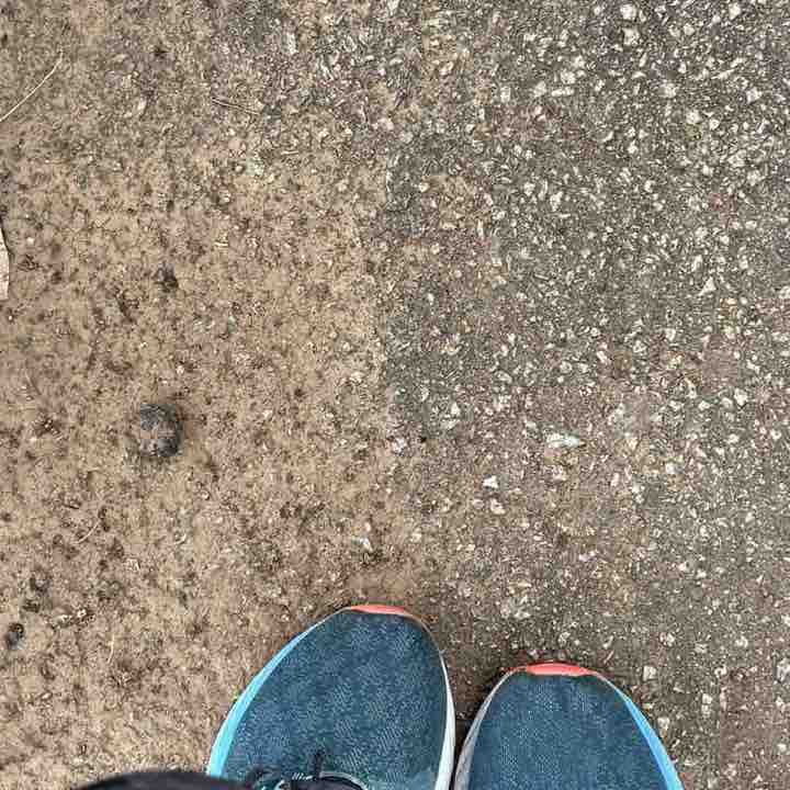 Rejoice (aka Gogo of 4) post 1