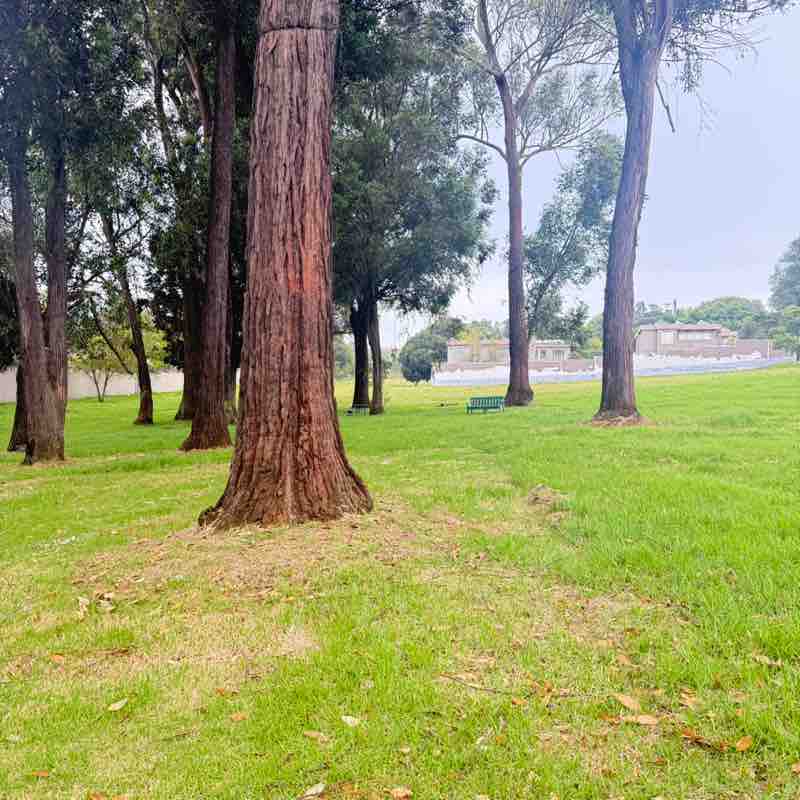 Rejoice (aka Gogo of 4) post 1