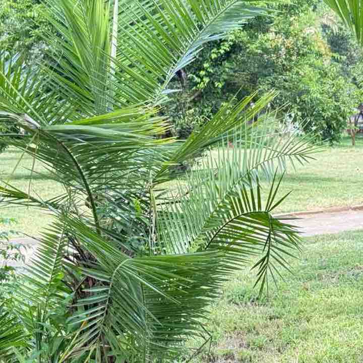 Rejoice (aka Gogo of 4) post 1