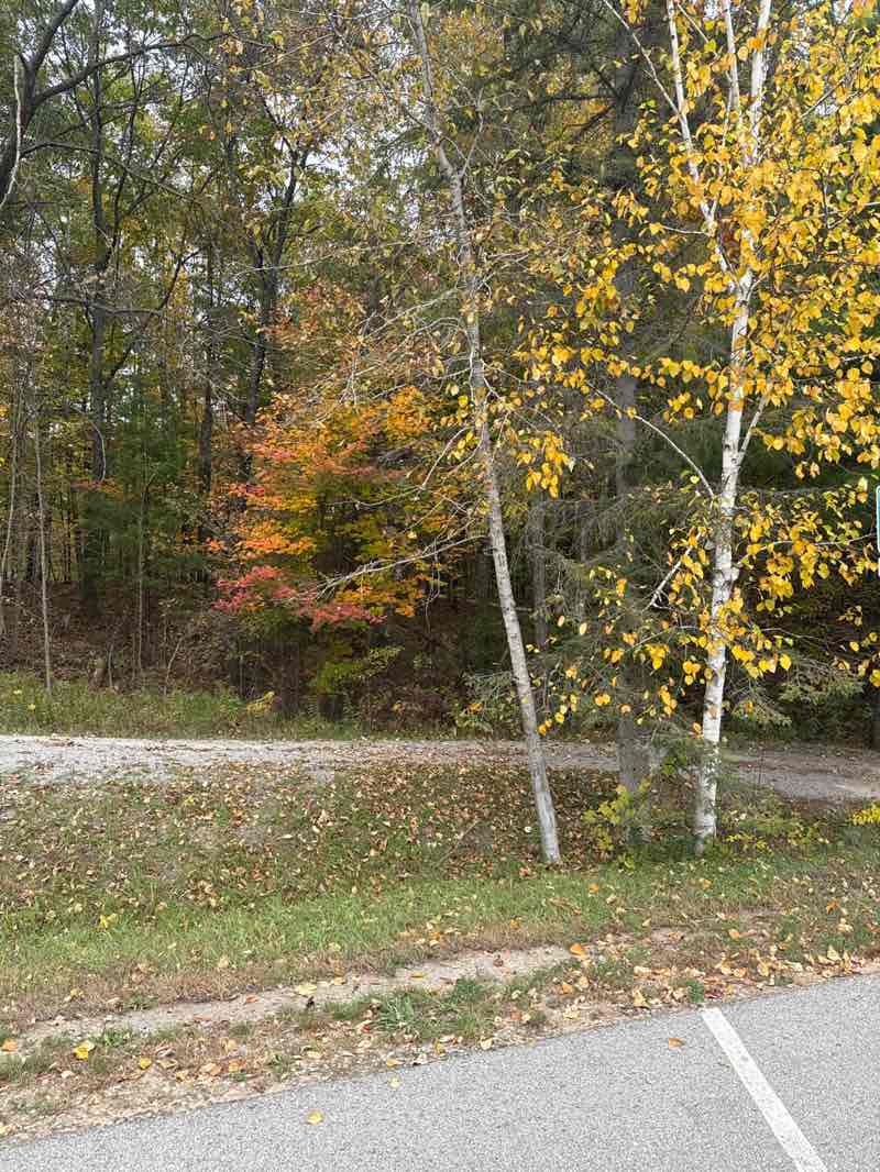 walking near me in Rifle River State Recreation Area in autumn